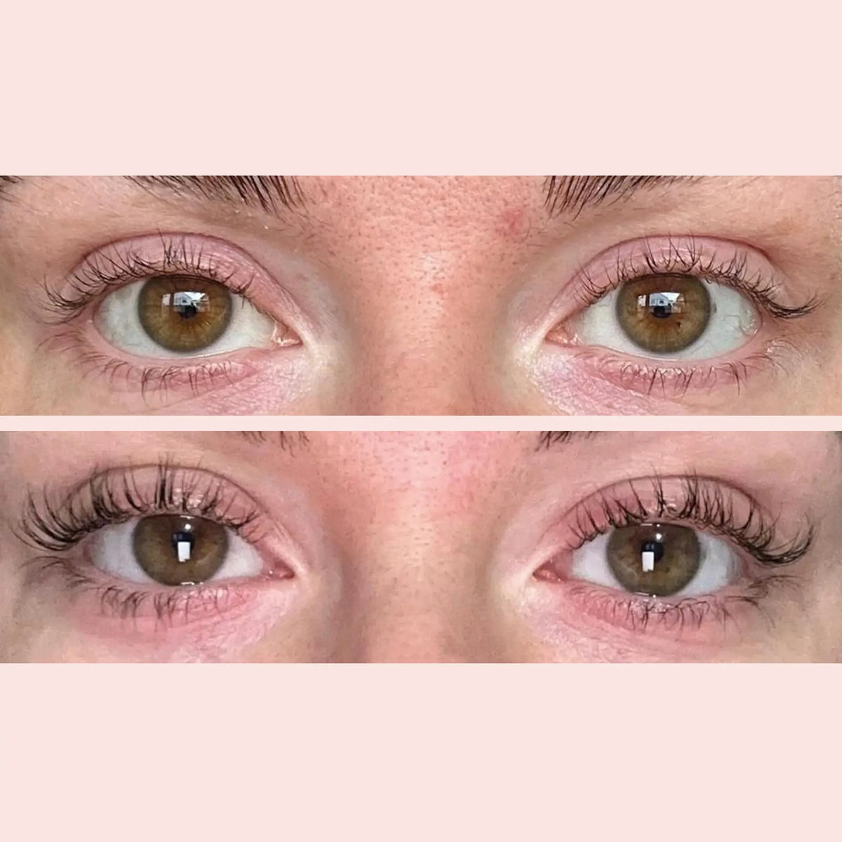 LASH & BROW POWER